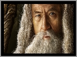 Gandalf, Ian Murray McKellen, Aktor